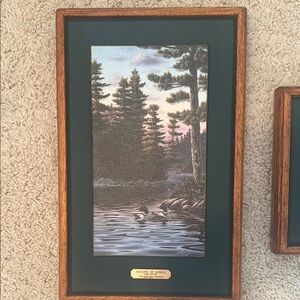 Framed Nature Artwork with Wooden Frame